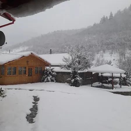 בית הארחה Pensiunea Alpin Păltiniş