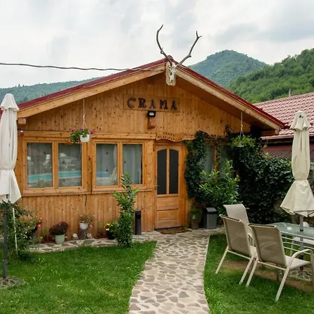 Pensiunea Alpin בית הארחה 3*