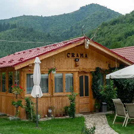 Pensiunea Alpin