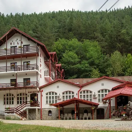 Pensiunea Alpin בית הארחה Păltiniş